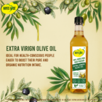 Hayes & Co. Extra Virgin Wood Pressed Olive Oil | 100% Pure | Cold Extracted | Unrefined | Rich in Antioxidants