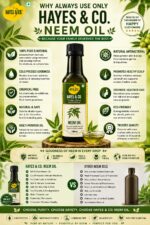 Hayes & Co. Pure Neem Oil – Natural Herbal Oil for Hair, Scalp & Skin Care - Image 5